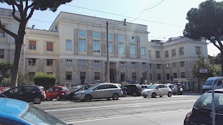 Università degli Studi di Roma UnitelmaSapienza