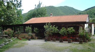 Agriturismo Costiera Amalfitana