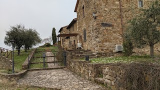 Castello di Montegonzi