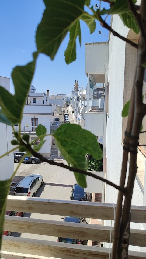 Alberobello-Home-Restaurant