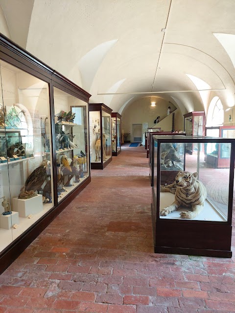 Museo di Storia Naturale dell'Università di Pisa