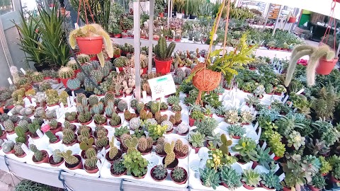 Donnaflora Gardencenter