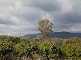 Pennisi, vista sull'Etna