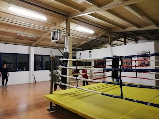 Promo boxe italia