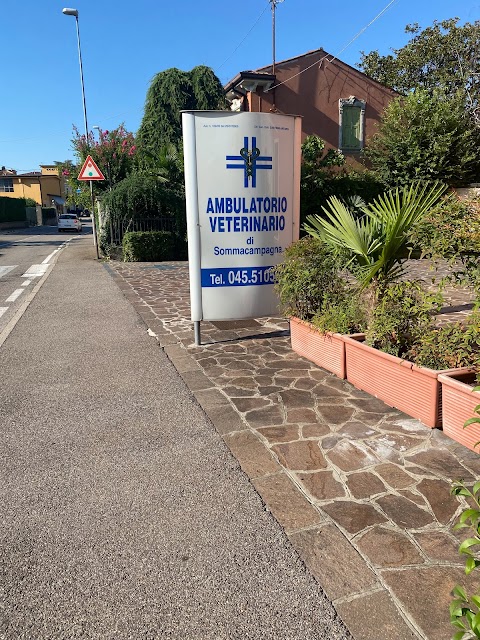 Ambulatorio Veterinario di Sommacampagna