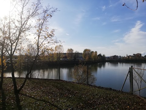 Laghetto del Centro Chirurgico Toscano