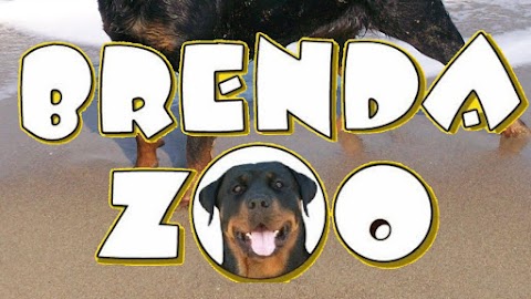 Brenda Zoo