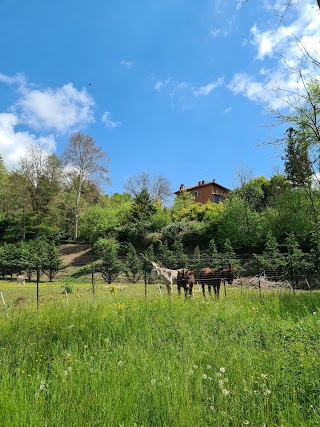 Centro di Psicosintesi e Scuola di Yoga di Mirella Balla