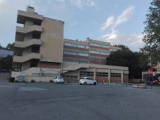 Scuola Primaria Evasio Montanella