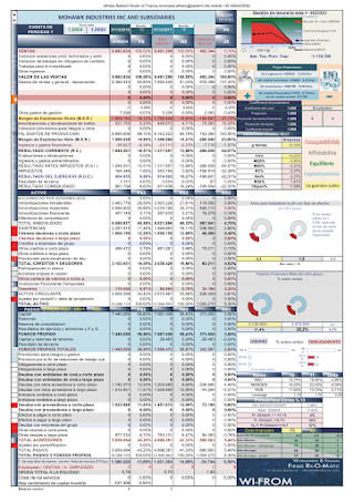 TopTiles Italy World & Spain-Financial Statements Analysis about italian, spanish and world quoted ceramics