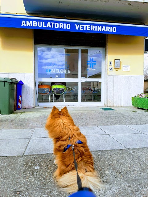 Ambulatorio Veterinario Associato "Le Melorie"