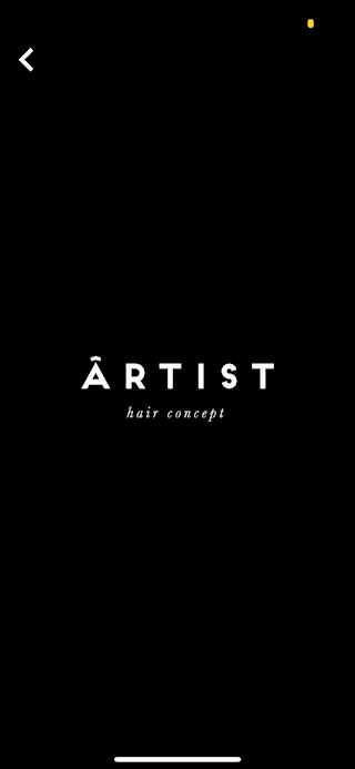 ÂRTIST hair concept