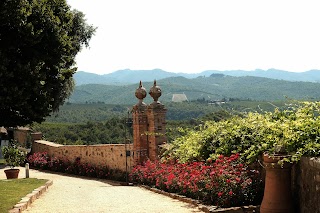 Massage in Chianti