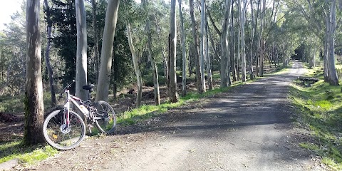 Bosco di Granvilla