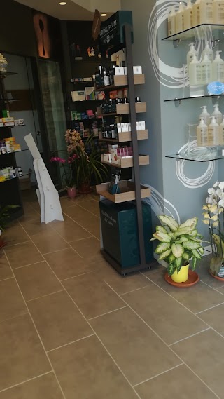 Farmacia Aputeka srl