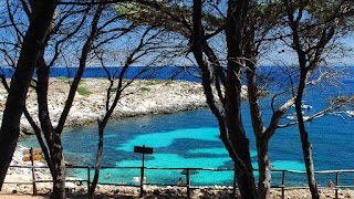 Escursioni Isole Egadi in Catamarano