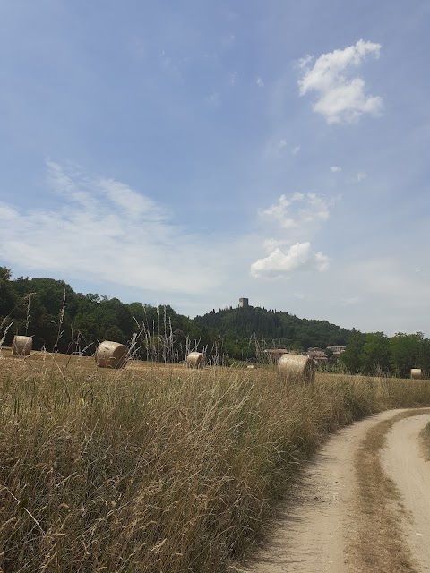 Stagni di Solferino