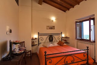 Agriturismo "La Collina delle Stelle" - Toscana, Tuscany - Vacanze per Gruppi, Holiday House for Groups