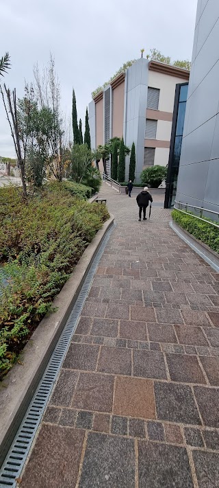 Ospedale Pederzoli, Pronto Soccorso