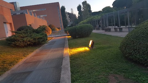 Università degli Studi Roma Tre - Giurisprudenza