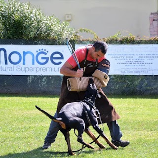 Scuola Addestramento Cani Centro Cinofilo Dinamic Dog A.S.D.