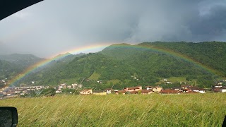 Cucchi Ferdinando