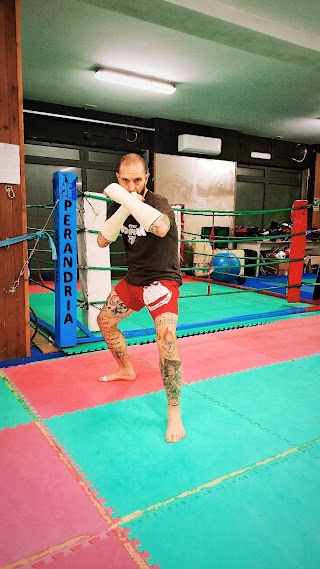 VITERBO MUAY THAI CAMP ๛