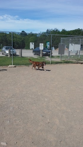 Bangor Dog Park
