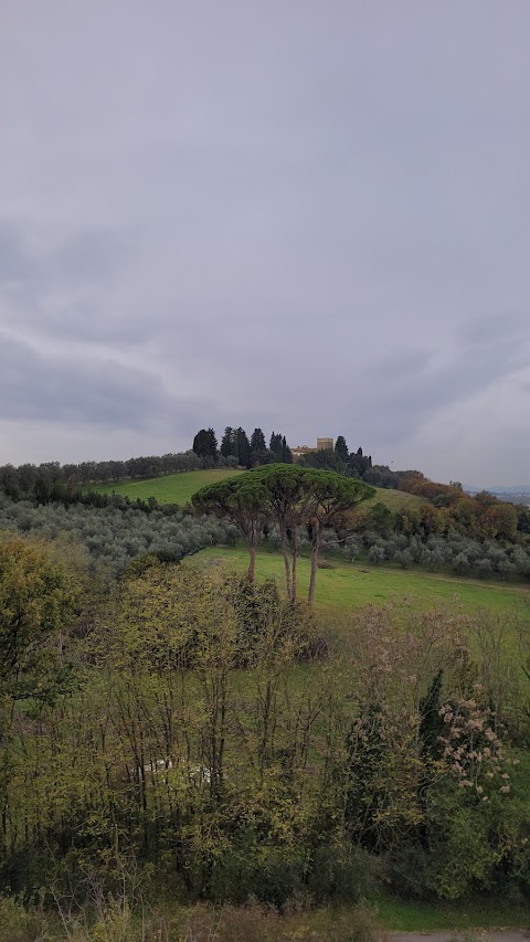 Scuola Superiore della Magistratura