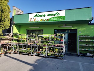 Linea Verde