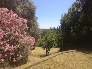 Parco Ludico per Cani, Comune di Roma ,Municipio XI