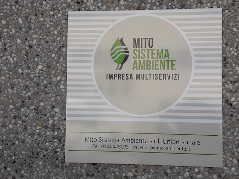 Impresa di pulizie Mito Sistema Ambiente Ravenna