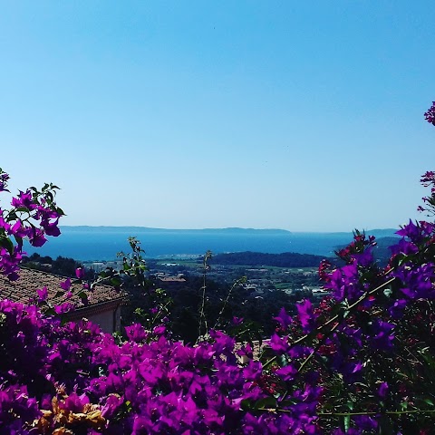 Fiore Di Maggio Almese