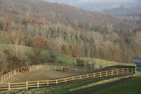 Centro Equestre La Contea