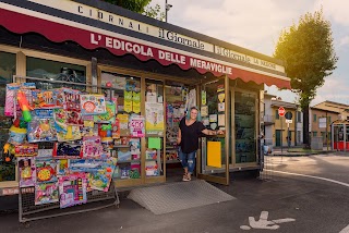 L'Edicola Delle Meraviglie Di Alice Guerriero