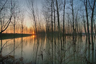 Parco perifluviale