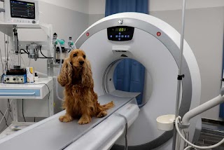 ARGO VET IMAGING