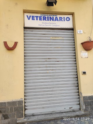 Castiglioni sara veterinario