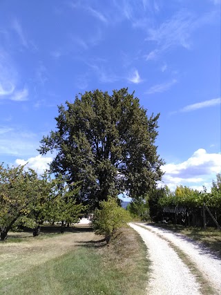 Calcestruzzi Valpolicella