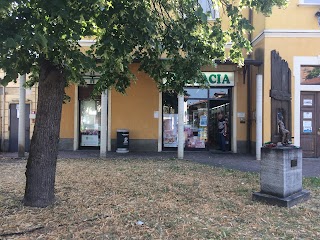 Farmacia Comunale #2