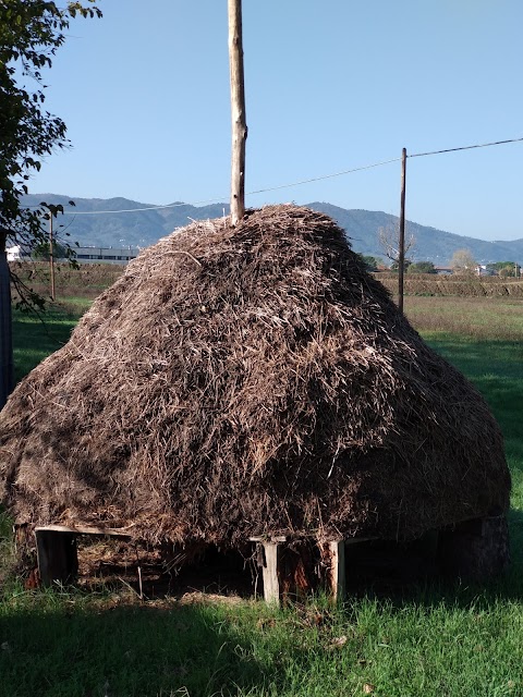 Area Naturale Protetta La Querciola Casa Di Zela