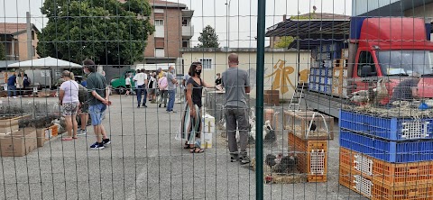 Mercato domenicale dei piccoli Animali