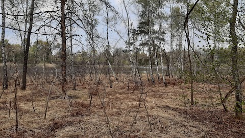 Il Lagone - Parco Naturale dei Lagoni di Mercurago