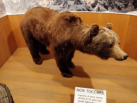 Casa del Parco Orso