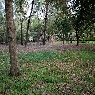 Parco golenale del Gruccione