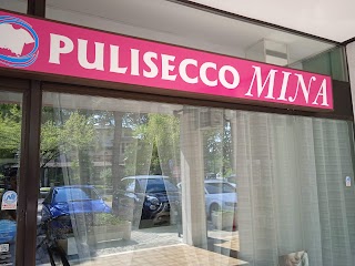 Pulisecco Mina