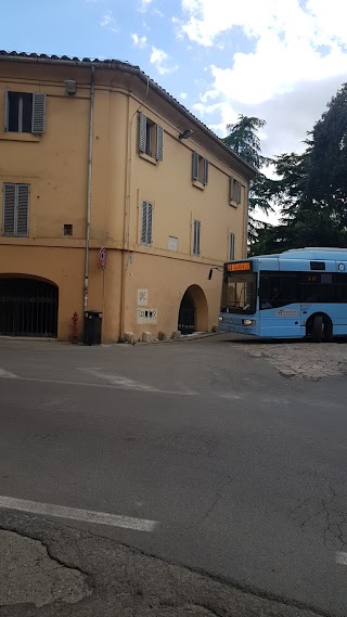 Piazza Della Università