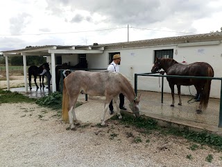 Agriturismo San Giuseppe e Circolo Ippico, Castel del Monte