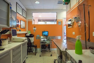 Ambulatorio Veterinario Dr. Marchisio