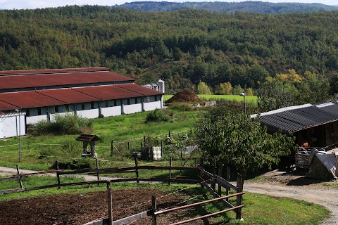 Nabucco Azienda Agricola